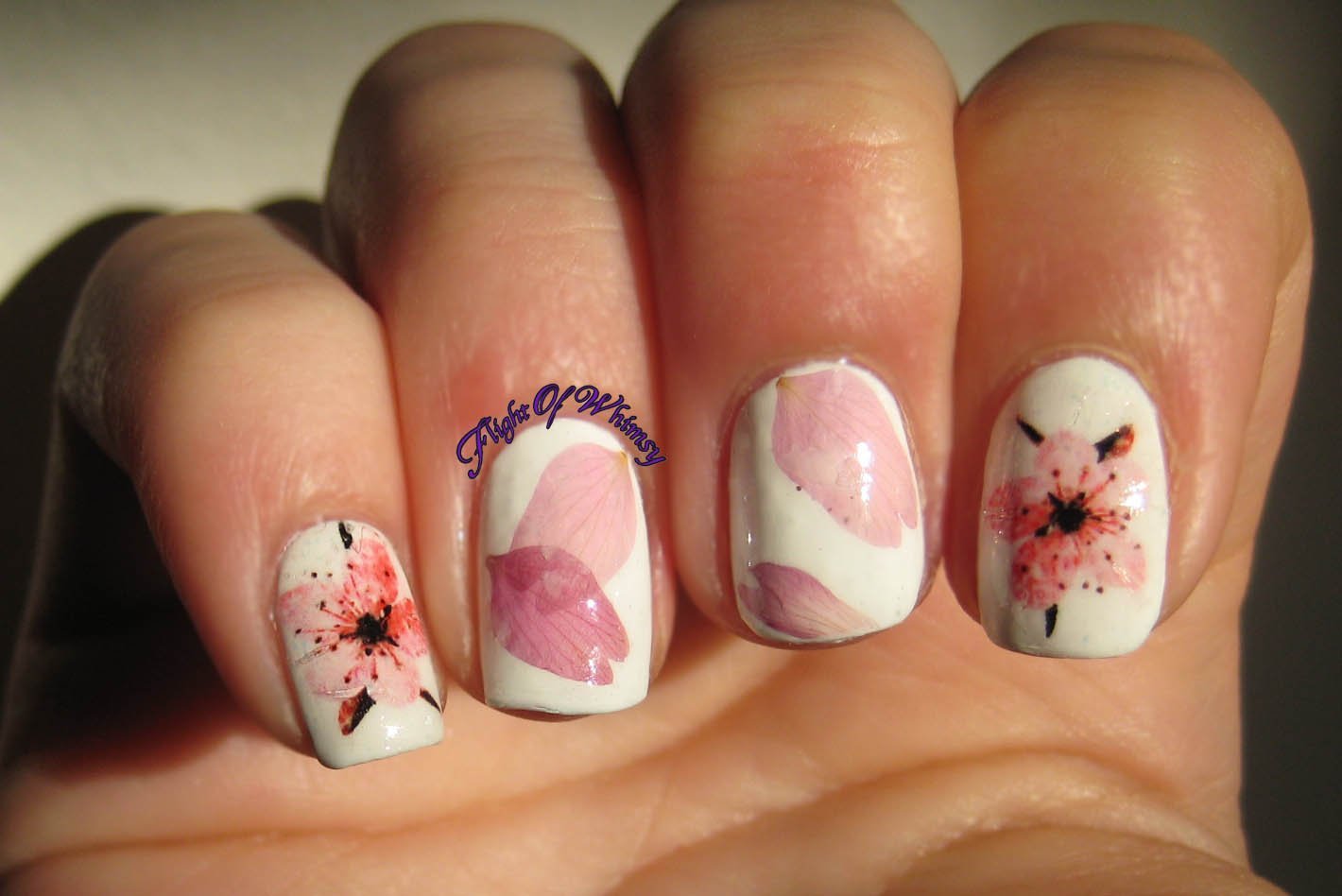 Сакура на ногтях. Маникюр Сакура. Цветы Сакуры на ногтях. Маникюр с цветами Сакуры.