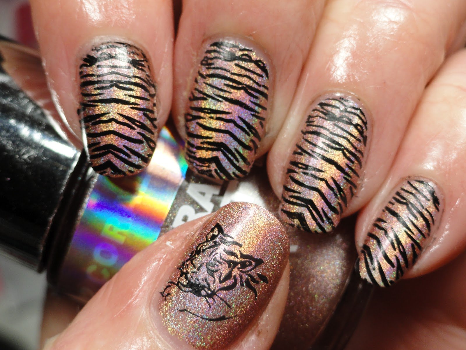 Тигровые ногти дизайн. Тигровые ногти. Дизайн ногтей тигровый. Маникюр тигровый на короткие ногти. Ногти с тигровым принтом.
