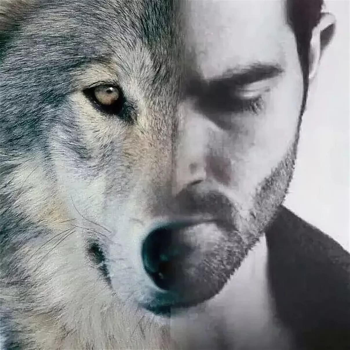 Мужчина волк