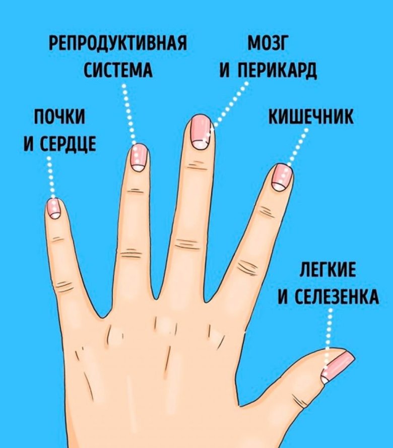 Ногтевая лунка. Определить заболевание по ногтям. Болезни по ногтям пальцев рук. Выявление заболеваний по ногтям рук. Диагностика по ногтям пальцев.