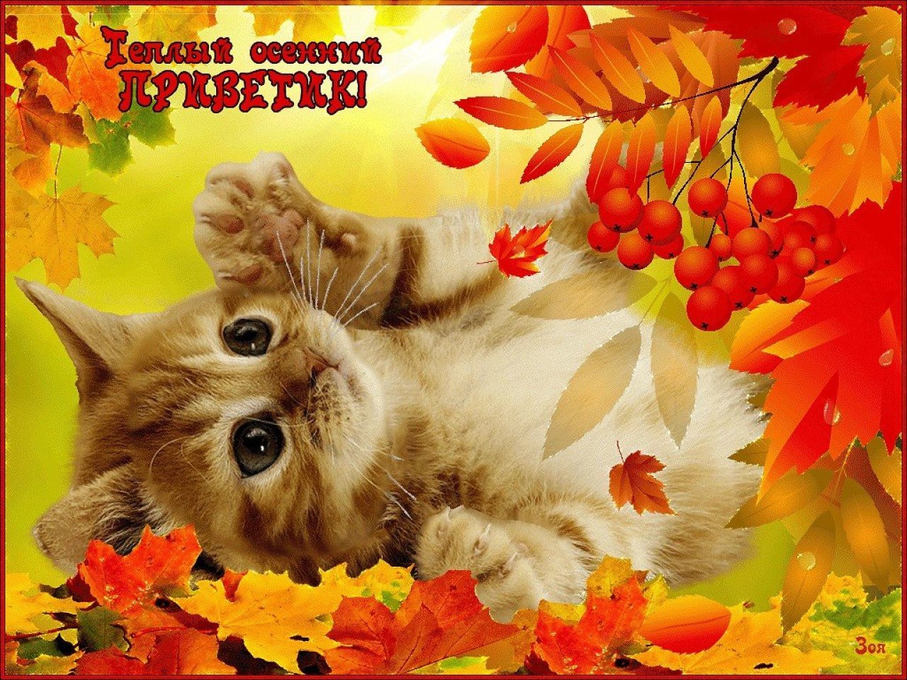 Осенние открытки с добрым бесплатные. Чудесной осени. Тёплая осень. Осенние открытки. Хорошего осеннего дня.