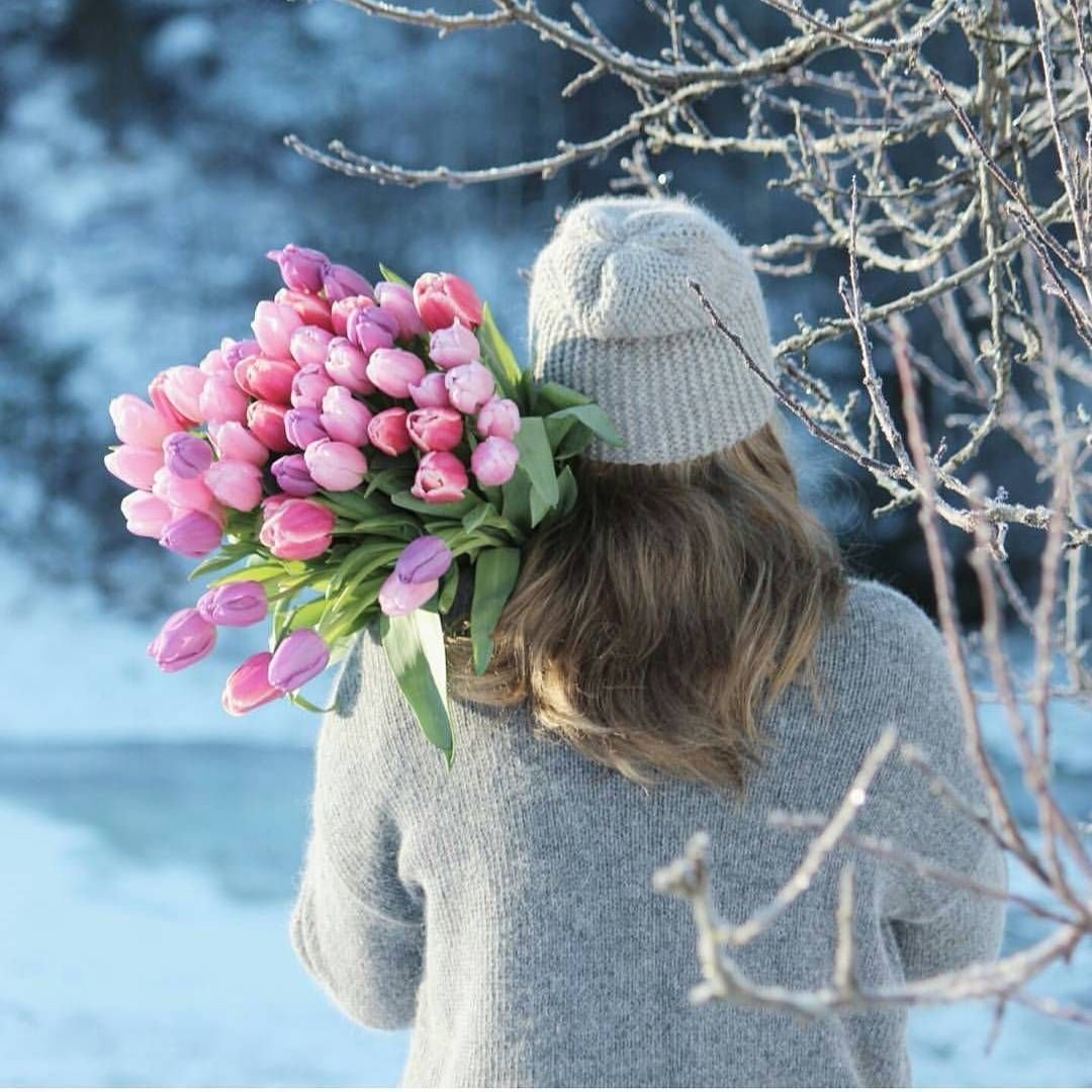 Зимние цветы. Цветы зимой. Красивые зимние цветы. Зимний букет.