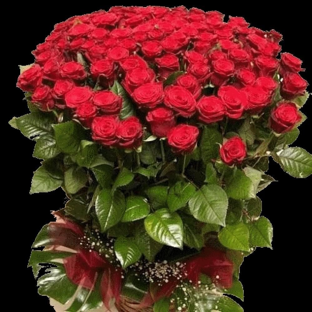 Букет роз для женщин большой и красивый. Красивые большие букеты. Букет шикарный. Большой красивый букет цветов. Шикарный букет роз.