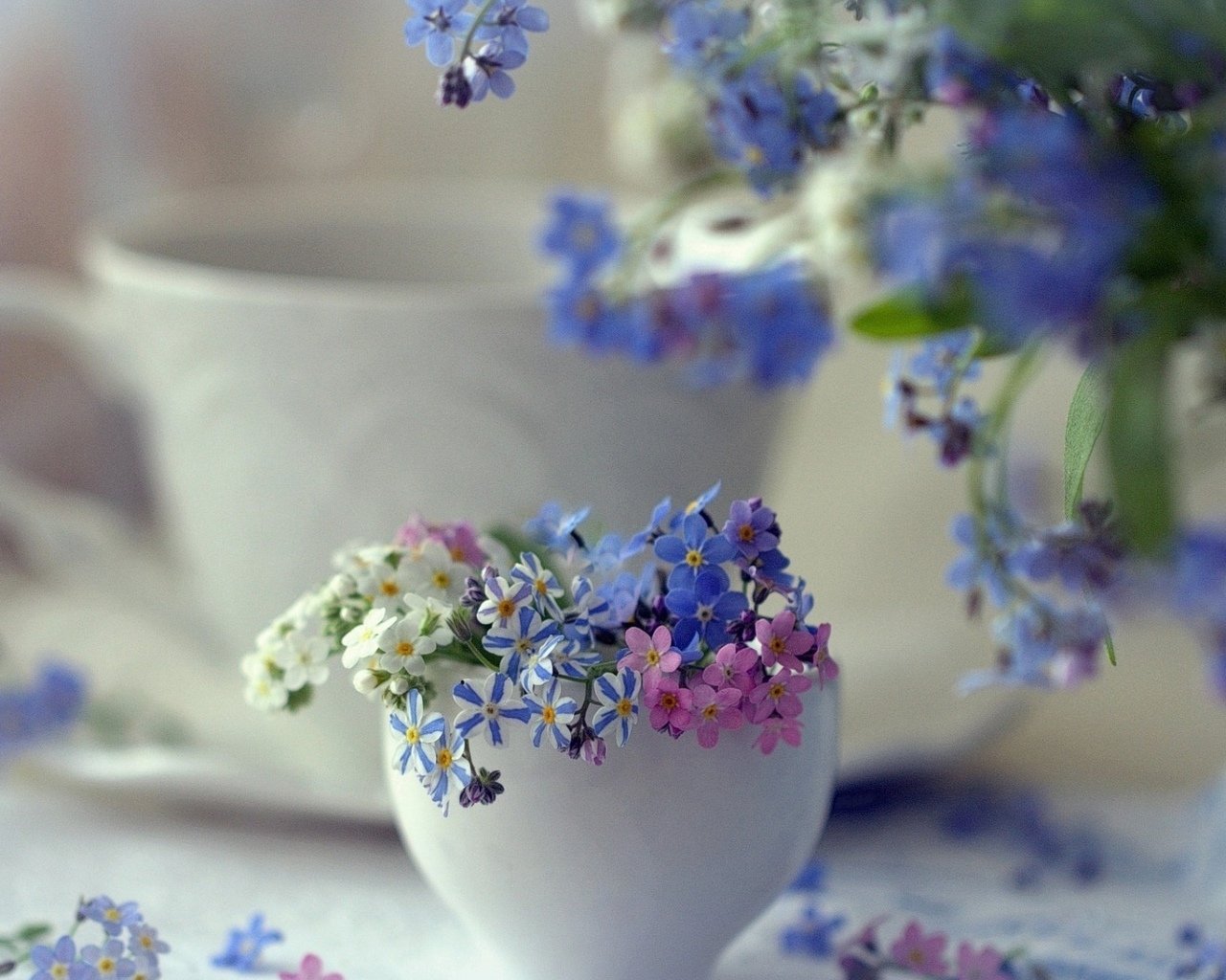 Доброго весеннего воскресного утра и хорошего дня. Нежные весенние цветы. Полевые цветы в кружке. Чудесные нежные цветы. Утренние цветы.