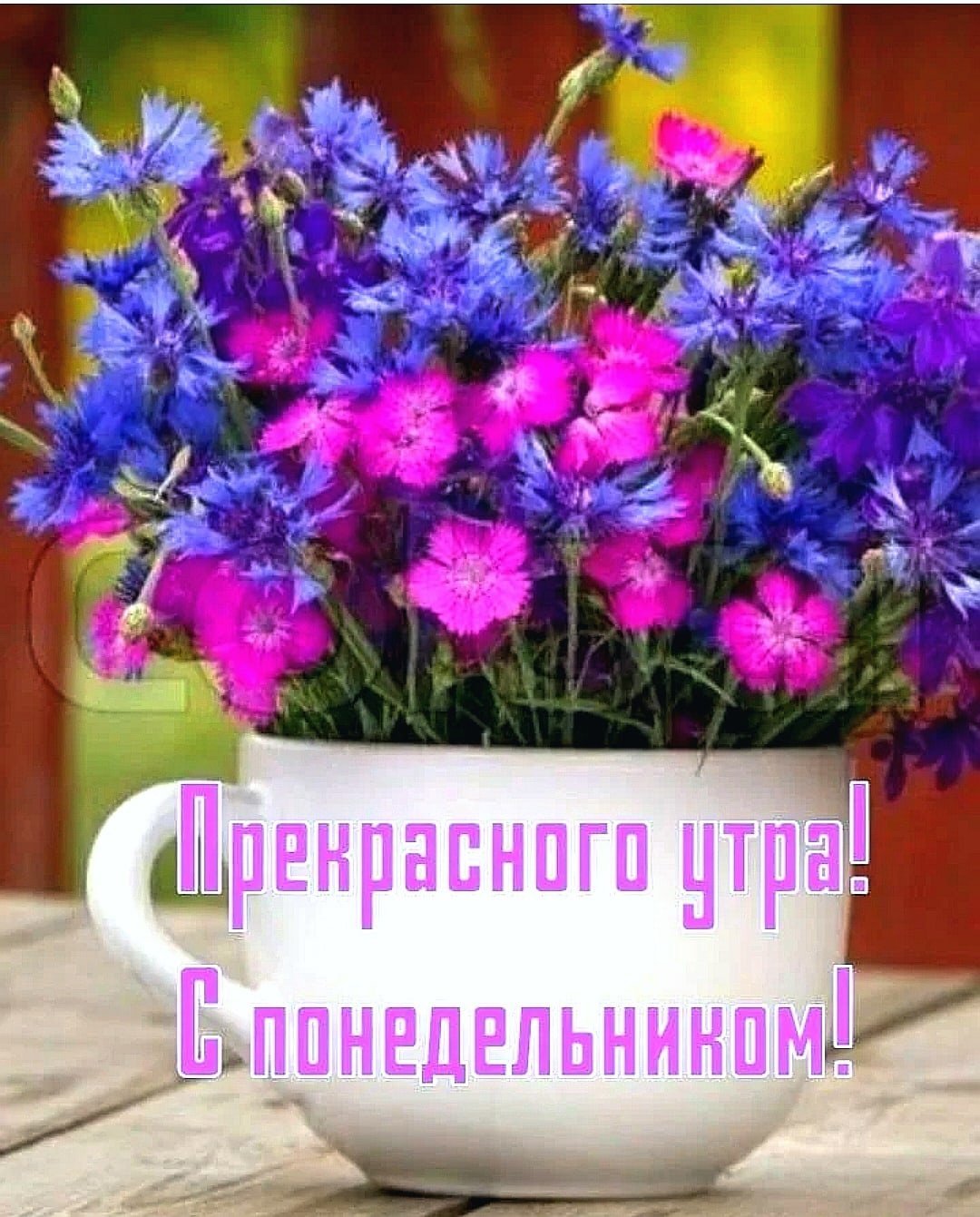 Доброе утро цветы с пожеланиями. Поздравления с добрым утром цветы. Открытки с добрым утром с цветами. Прекрасного утра и хорошего настроения. Понедельник неделя началась