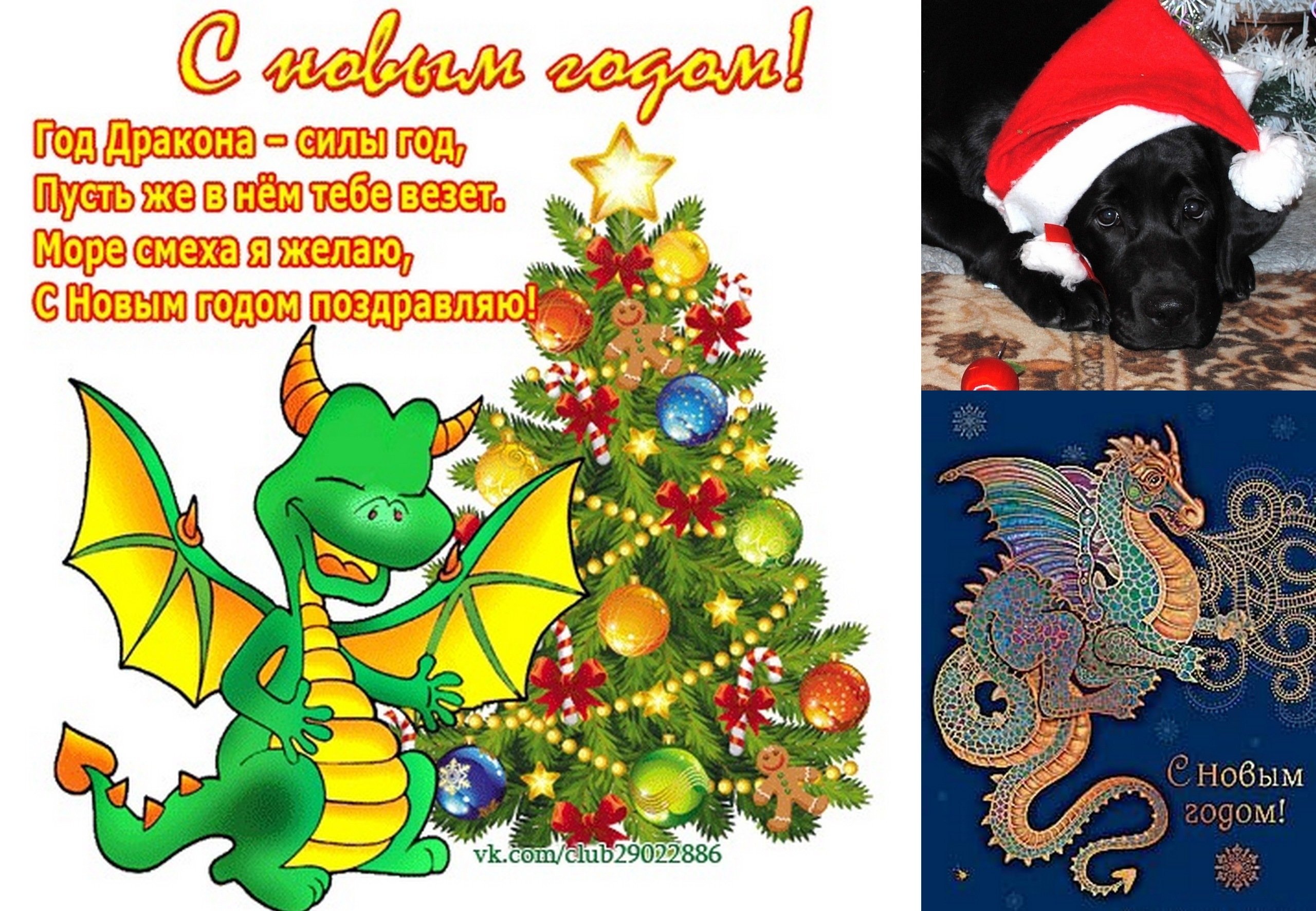 С годом дракона поздравления. Год дракона открытки новогодние. Поздравление с новым годом дракона. Новогодние открытки с драконом. Поздравительные открытки 2024 года