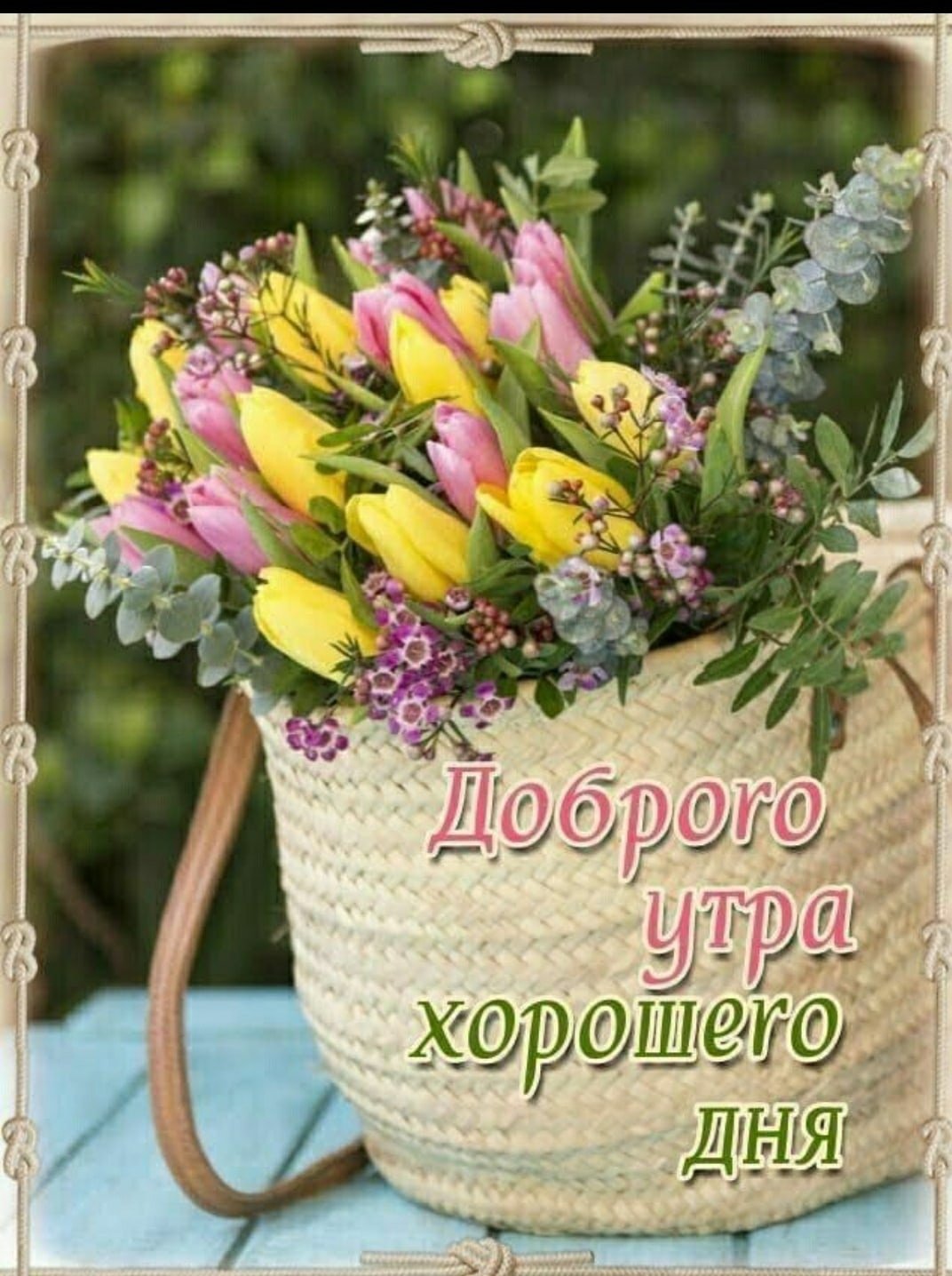 Доброе утро с пожеланиями здоровья весной. Доброго утра и хорошего дня цветы. Хорошего светлого дня. Прекрасного дня и отличного настроения. Хорошего дня и отличного настроения.