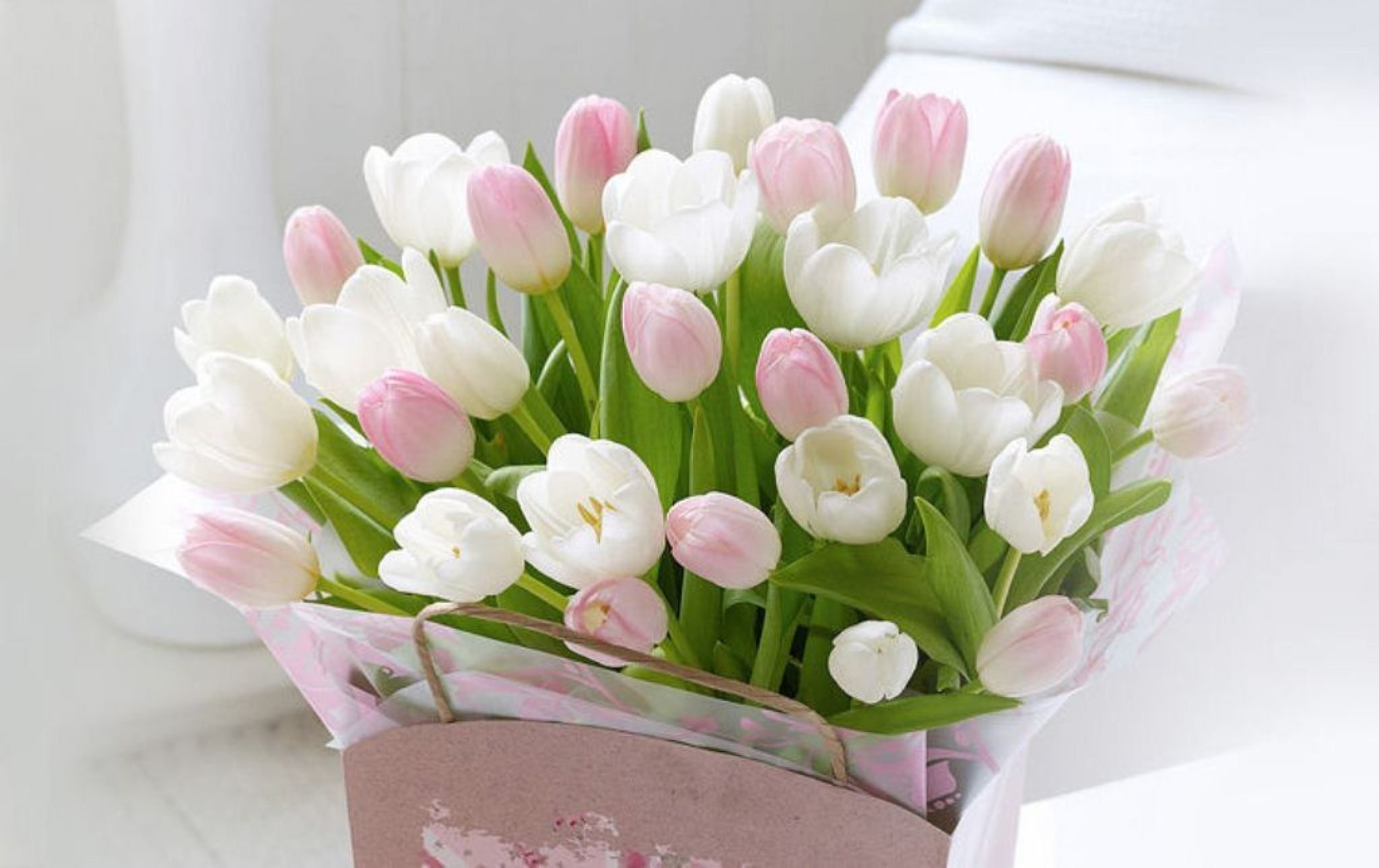 С днём рождения тюльпаны. Нежные тюльпаны. С днем рождения весенние цветы. Нежный букет тюльпанов. С праздником весны нежности очарования