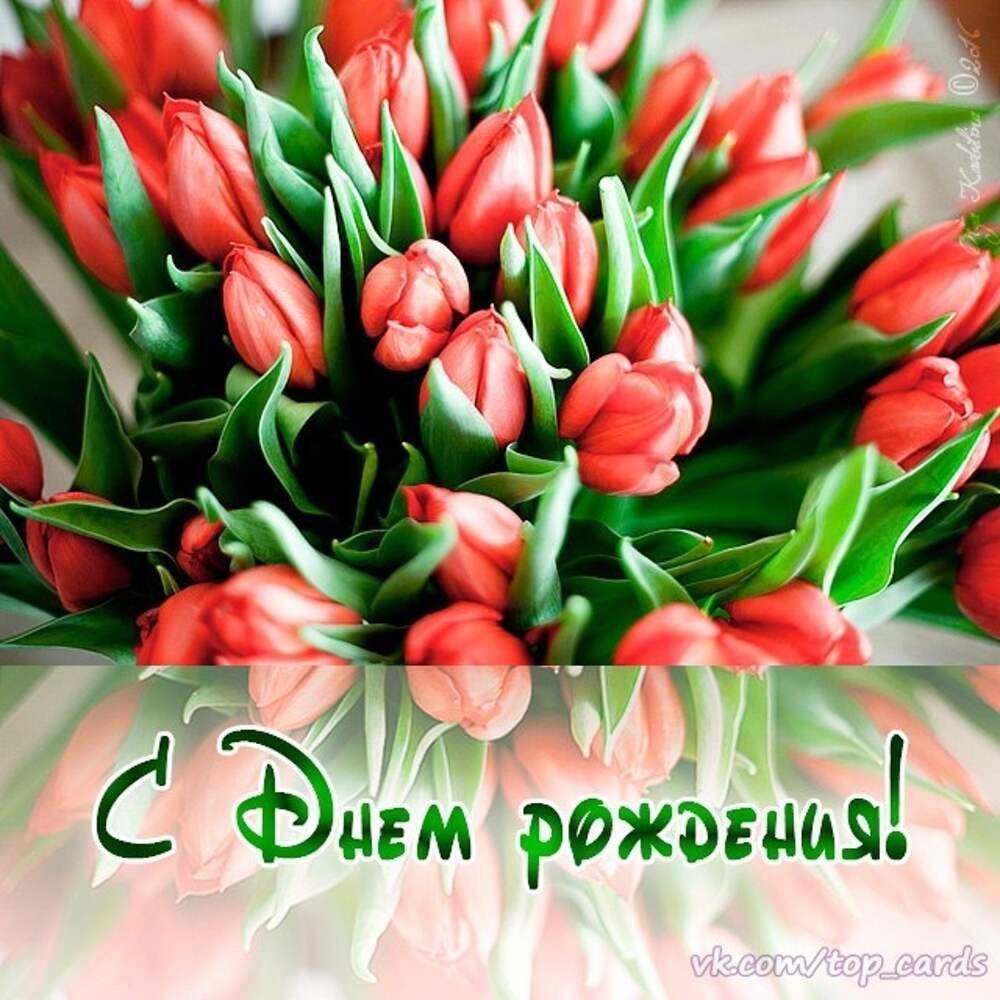 С днем рождения женщине красивые тюльпаны поздравления. С днём рождения тюльпаны. С днём рождениятюльпаны. С днём рождения тюльпагы. Открытки с днём рождения тюльпаны.
