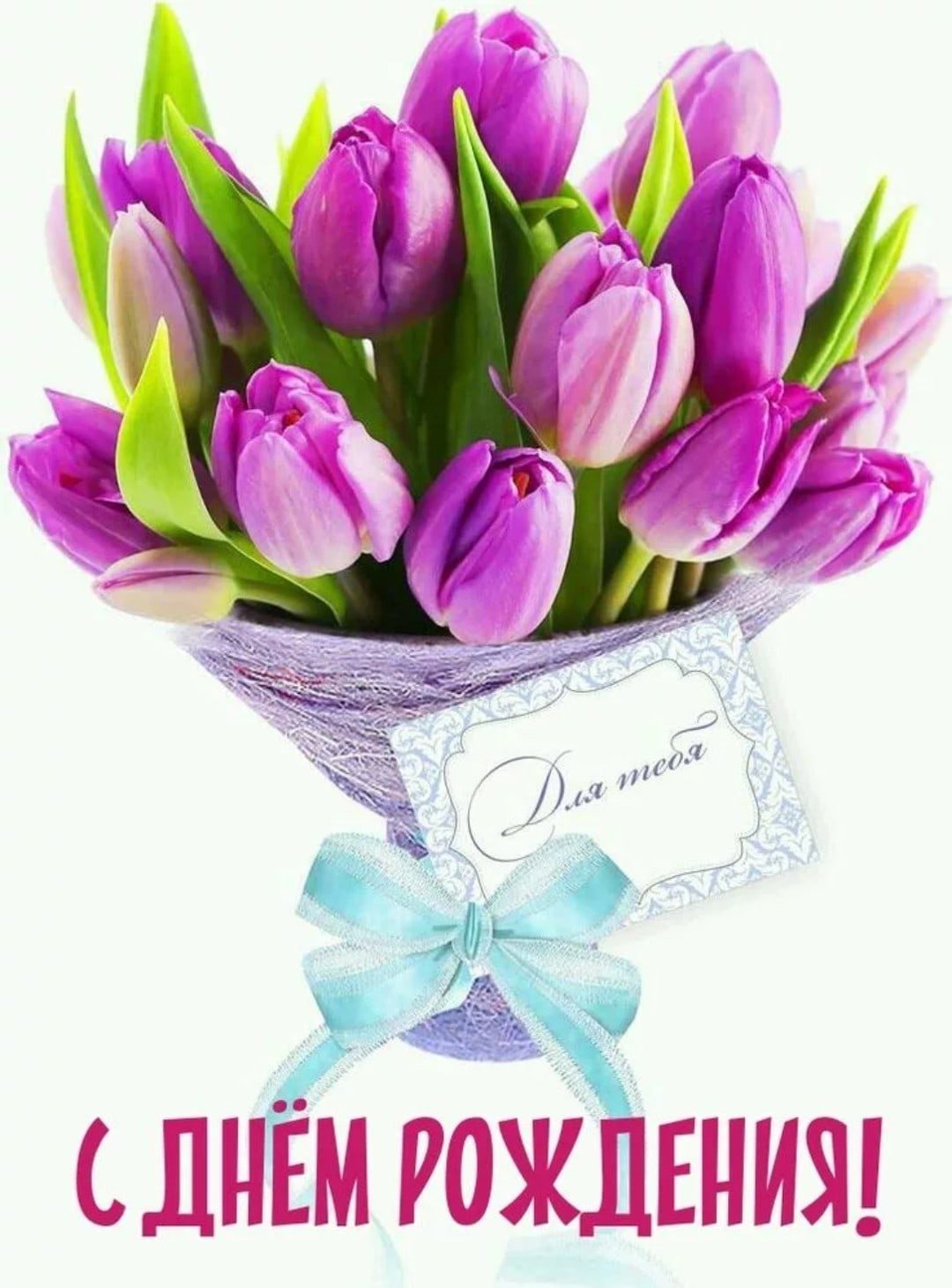 С днем рождения женщине красивые тюльпаны поздравления. С днём рождения тюльпаны. С днём рождения Тюдльпаны. С днём рождения тюльаны. Сшнем рождения тюльпаны.