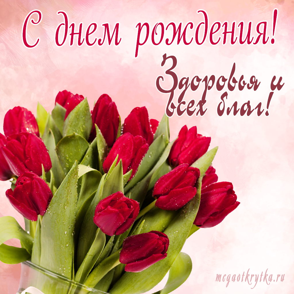 Открытка с днем рождения тюльпаны с пожеланиями. С днём рождения тюльпаны. С днём рождения женщине. С дне рождения тюльпаны. Открытка с днём рождения женщине тюльпаны.
