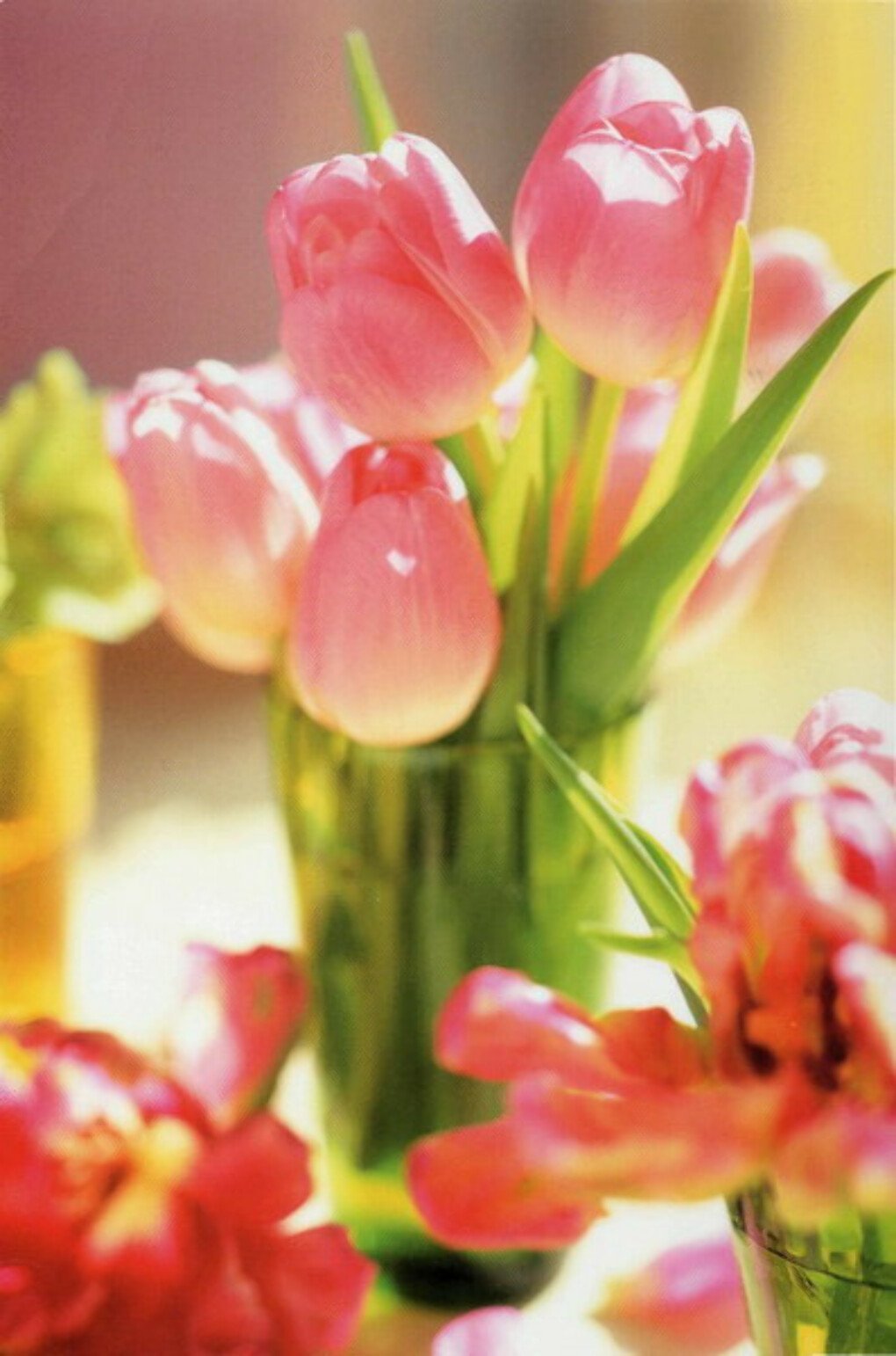 Открытка с днем рождения тюльпаны с пожеланиями. С днём рождения тюльаны. См днём рождения тюльпанв. С днём рождения тюльпаны. С днём рождения тульраны.