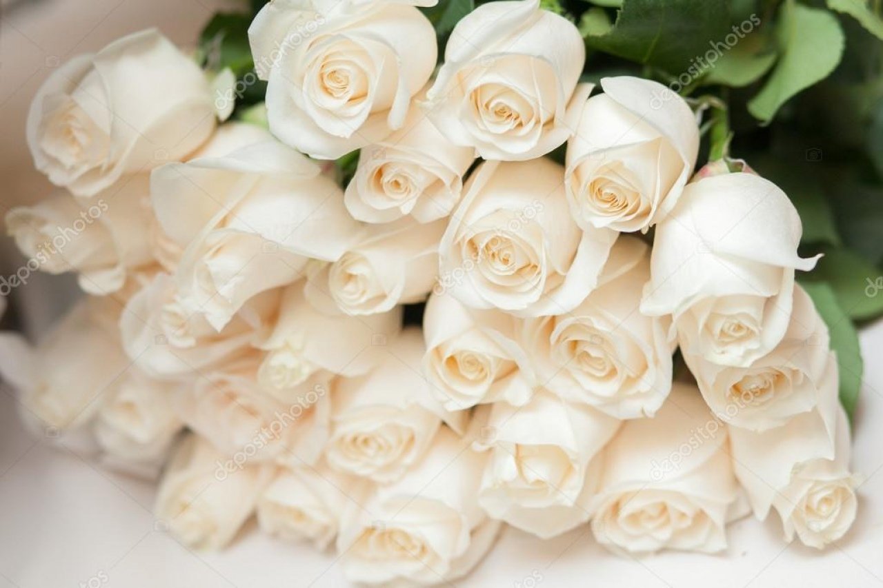 Красивый букет белых роз. Огромный букет белых роз. Роскошный букет белых роз. Шикарный белый букет.