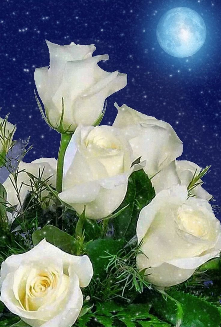 Спокойного мирного сна. Спокойной ночи цветы. Открытки спокойной ночи. Открытки спокойной ночи с розами. Цветы с пожеланием спокойной ночи.