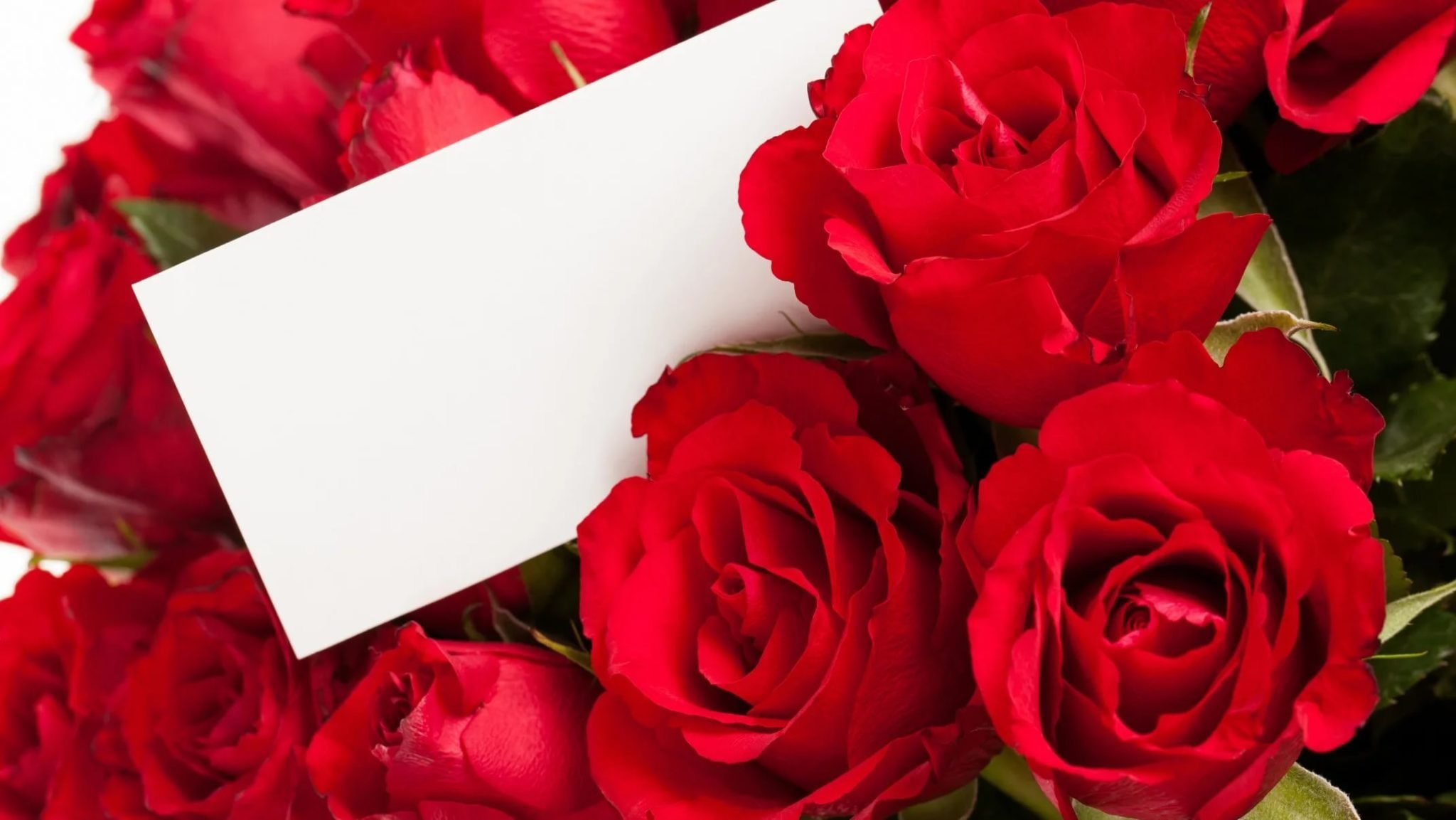 Маме 51 лет. С днем рождения. Открытки с днём рождения розы. С юбилеем. С днём рождения женщине цветы.