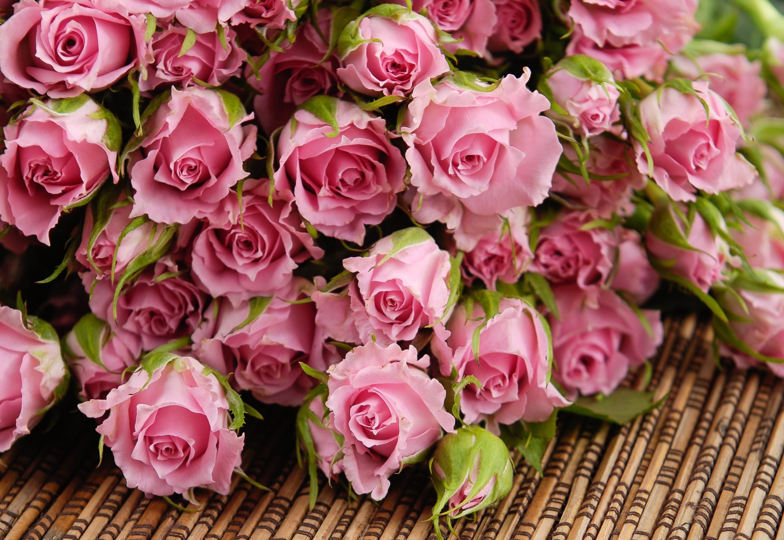 Розые розы. Шикарные цветы. Роскошные розы. Розовые розы. Букет розовых роз.