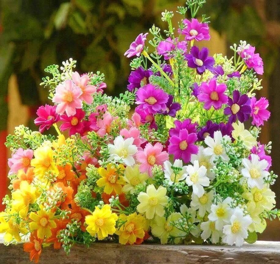 Сердечной радости. Летние цветы. Душевного тепла и гармонии. Цветочное настроение. Тепла в душе и радости в сердце.
