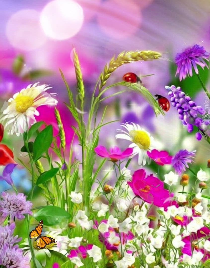 Хорошего дня пожеланиями природа. Яркие летние цветы. Открытки с добрым утром летние. С добрым летним ув Тром. Доброе летнее утро.