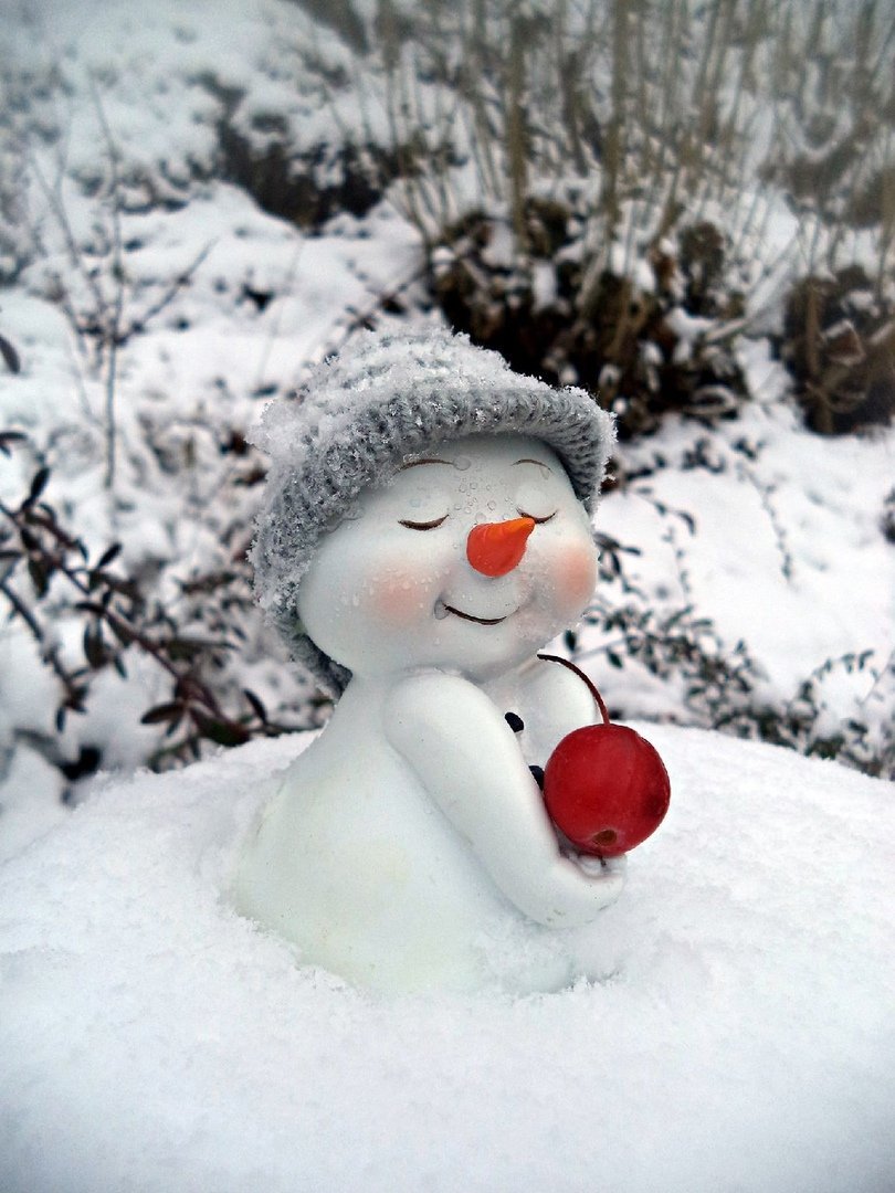 Я люблю снежку. Хорошего зимнего дня. Доброе утро зима. Хорошего зимнего дня и отличного настроения. Удачного зимнего дня и хорошего настроения.