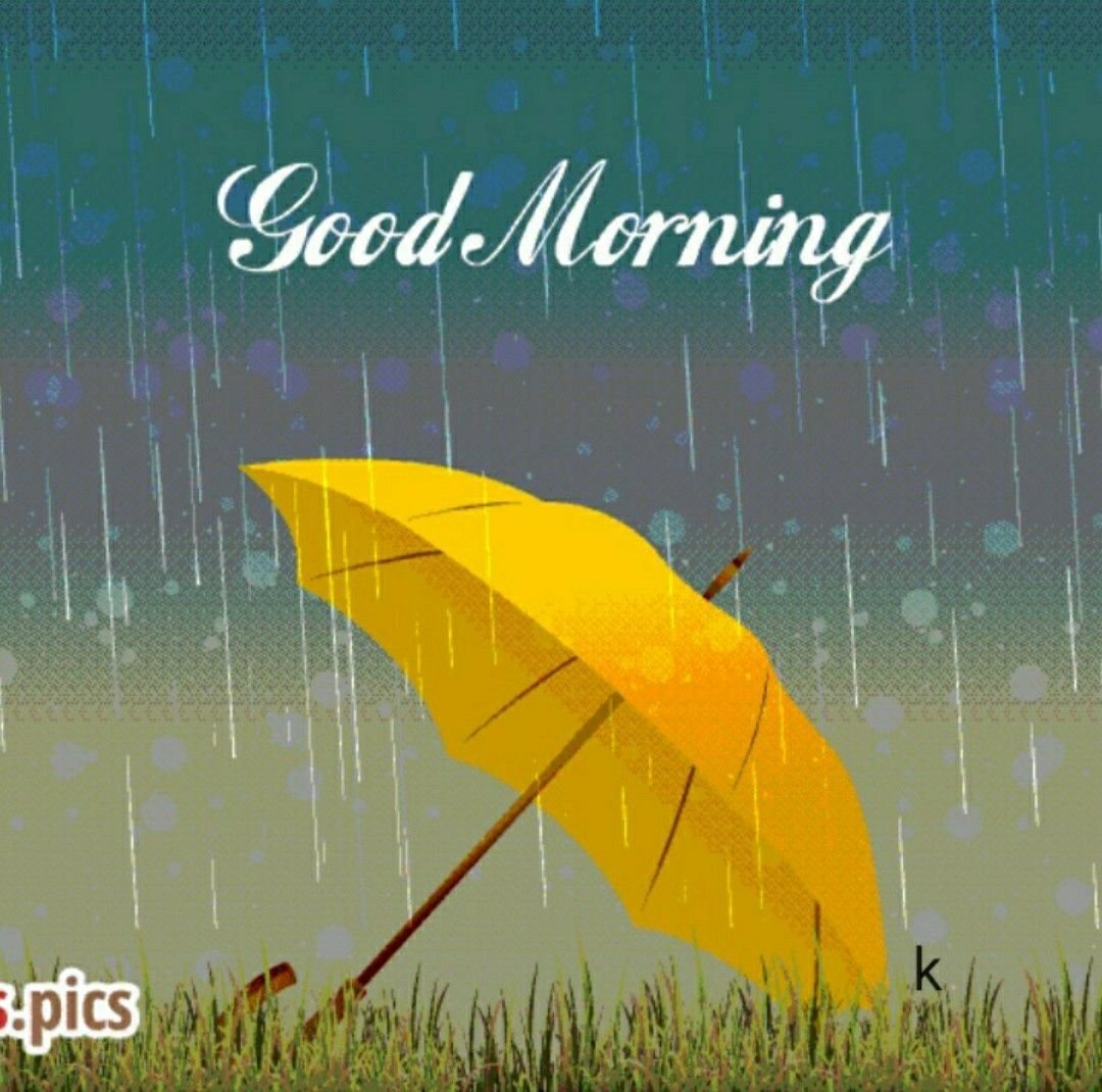 Доброе дождик. Доброе дождливое утро. С добрым дождливым утром картинки. Доброе утро в дождливую погоду. Доброе утро дождливое лето.