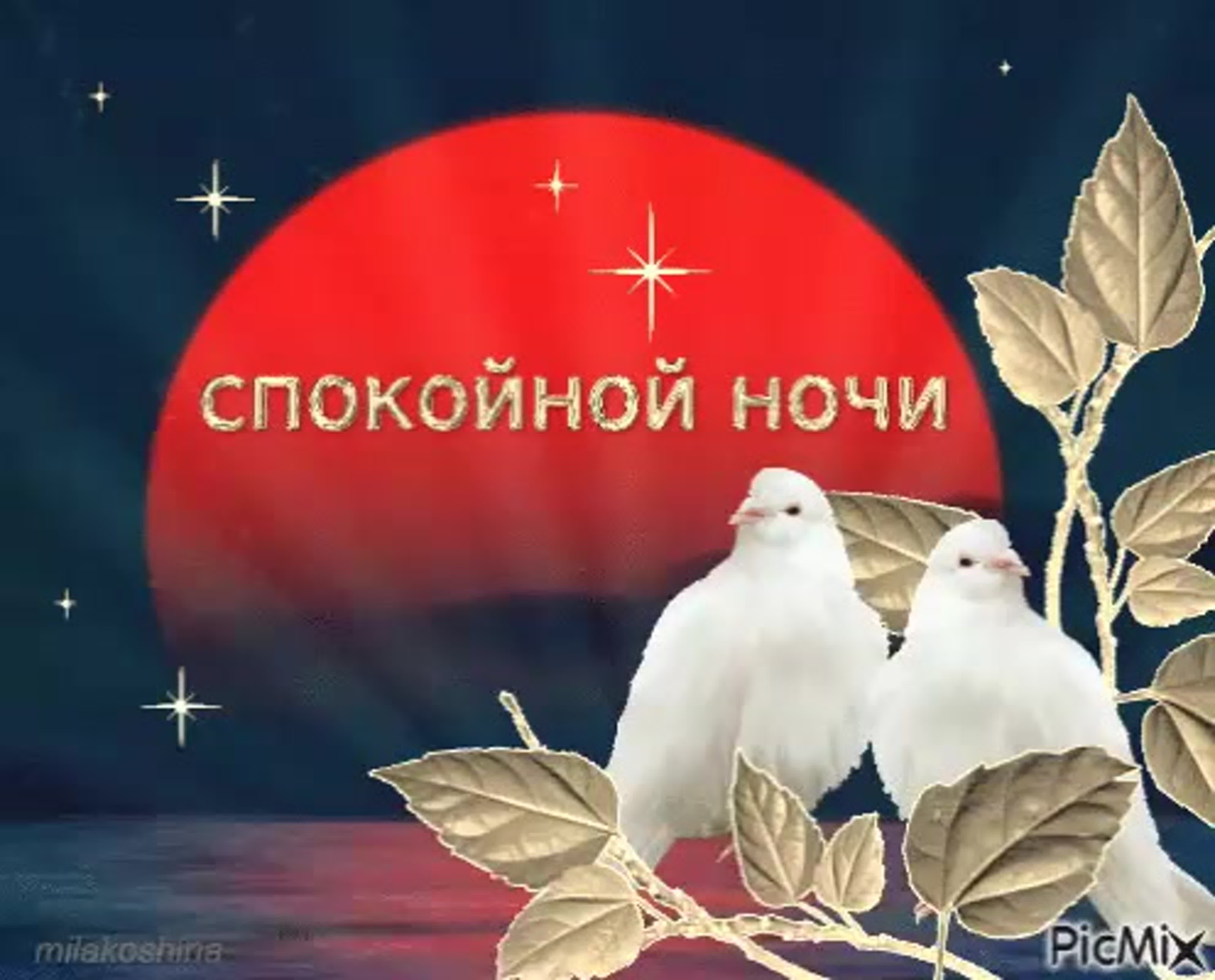 Благословенное пожелание доброй ночи. Доброй ночи христианские. Спокойной ночи голуби. Доброй ночи православные пожелания. Спокойной январской ночи.