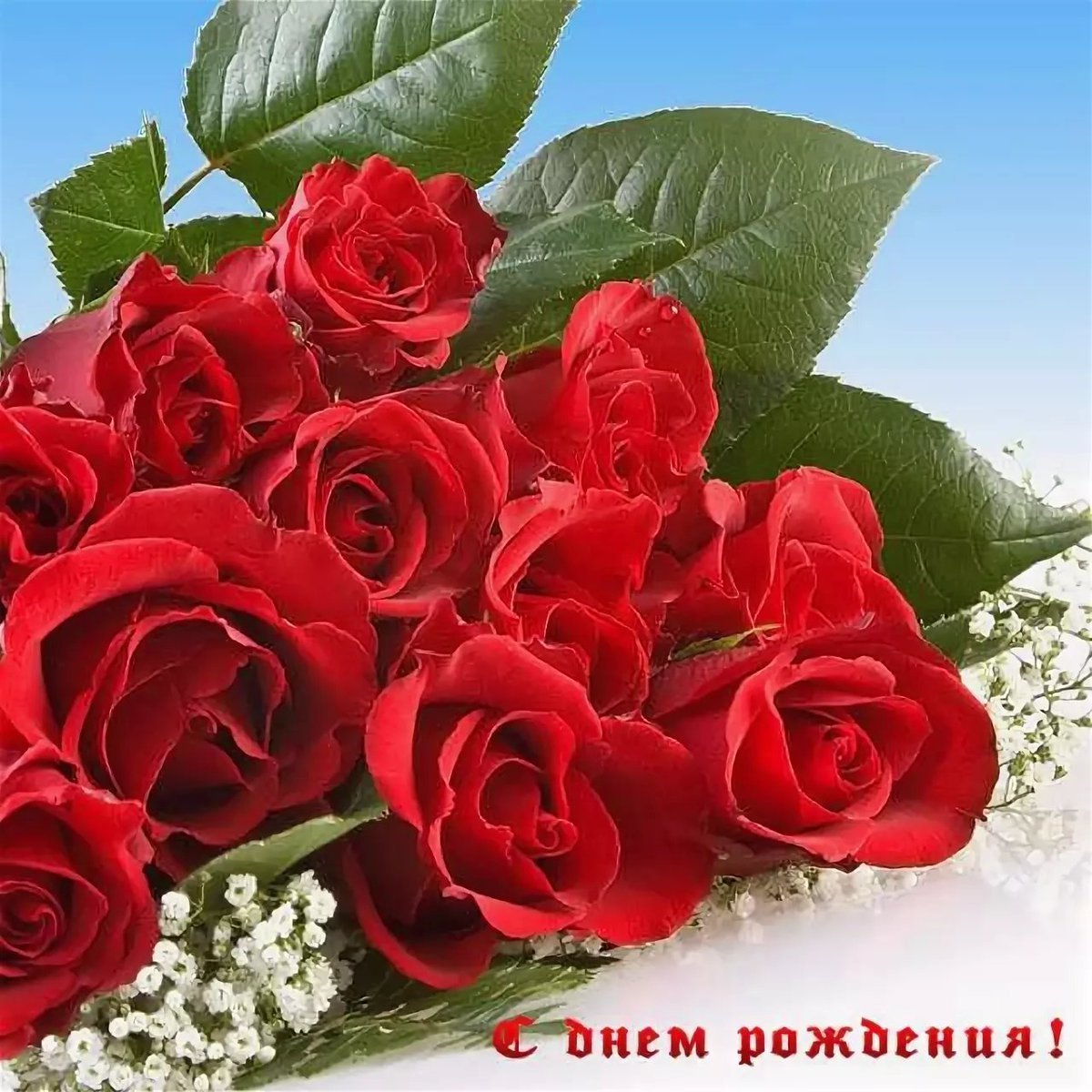Бесплатные рождения с розами