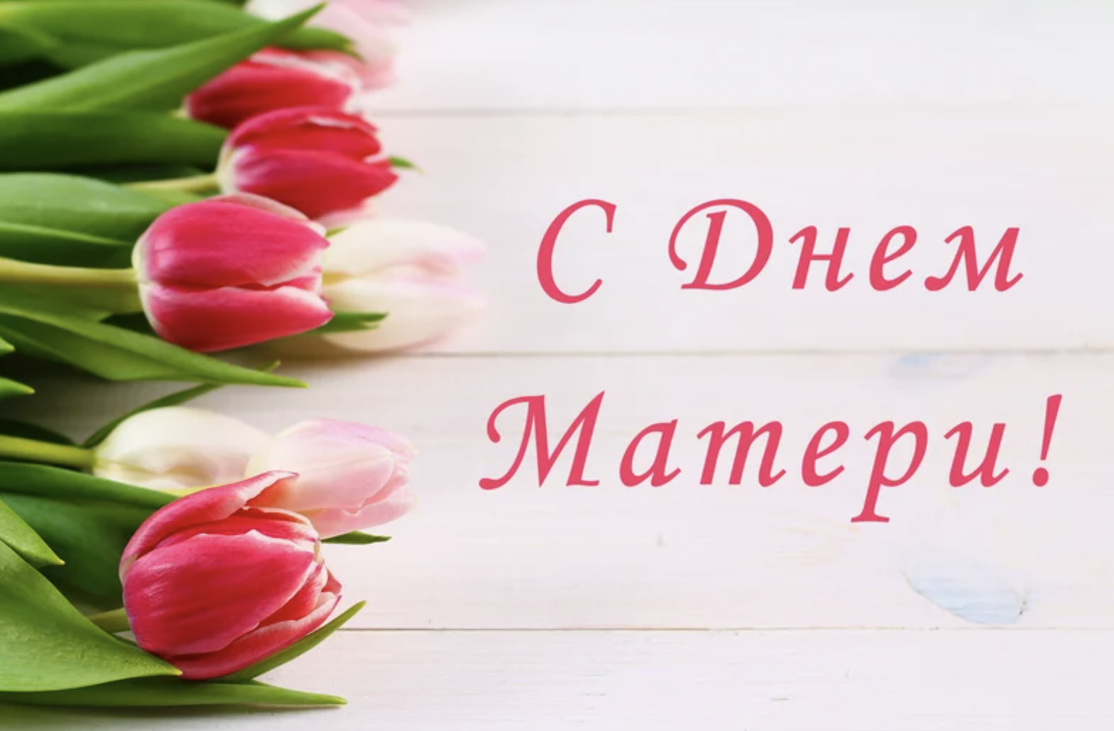 Праздник мама и цветы. День матери. Открытки с днём матери. С днём матери поздравления. С днем матери тюльпаны.