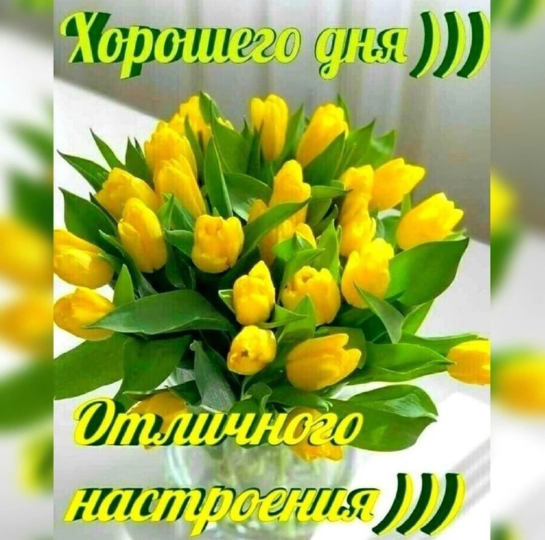 Доброе весеннее утро с тюльпанами. Открытки с желтыми тюльпанами. Шикарные тюльпаны с добрыми пожеланиями. Доброе утро тюльпаны. С добрым утром весенние цветы.