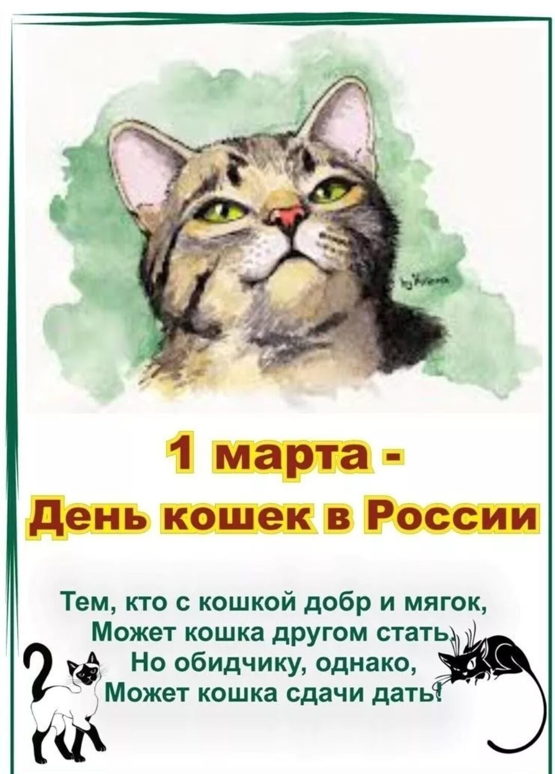 Отзыв день кошек. День кошек. День кошек в России.