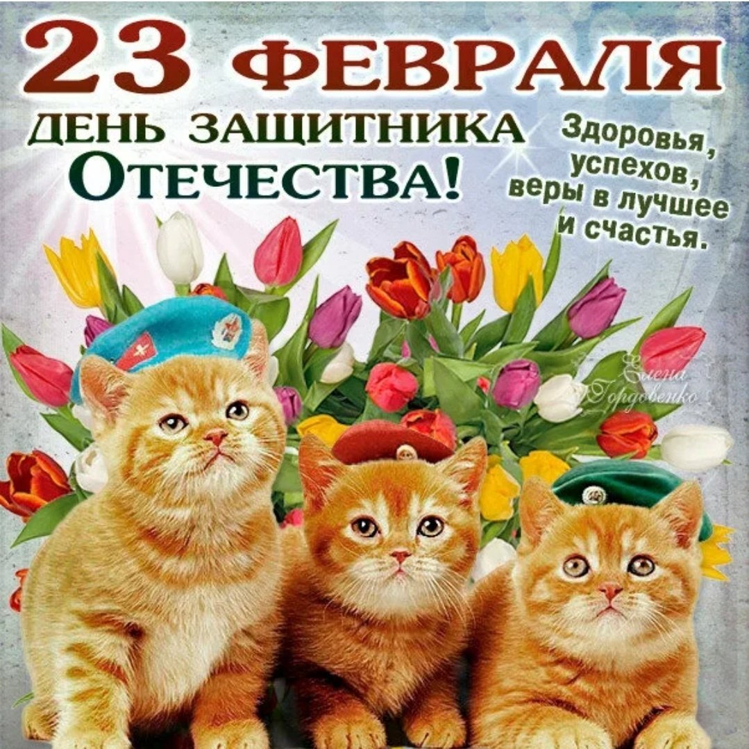 День кошек февраль. Поздравление с 23 февраля с котиком. Поздравление с 23 февраля коты. Поздравление с 23 с котами. Поздравление с 23 февраля с котам.