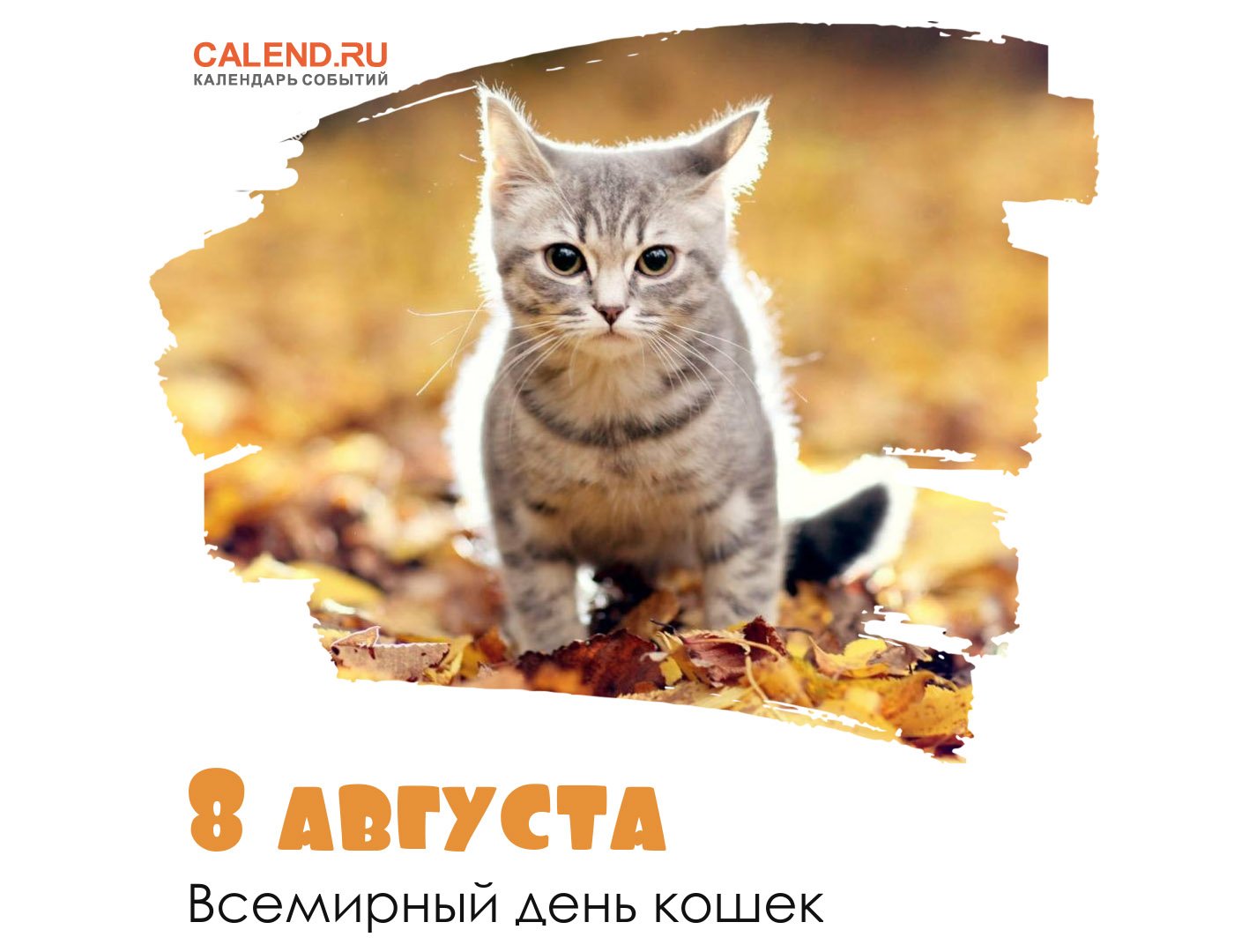 День кошек в россии 2024 год. День кошек. День кошек в России. Всемирный день кошек в России.
