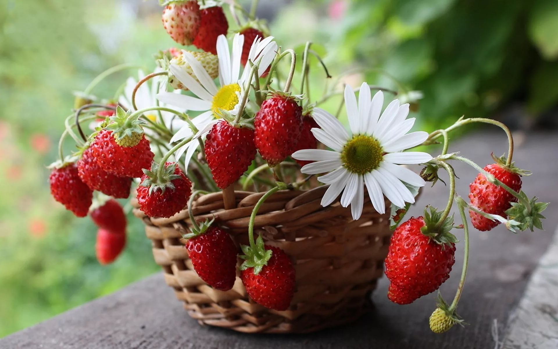 Цветы и ягоды. Клубника в корзинке. Лето ягоды цветы. Летнего настроения и хорошего дня.