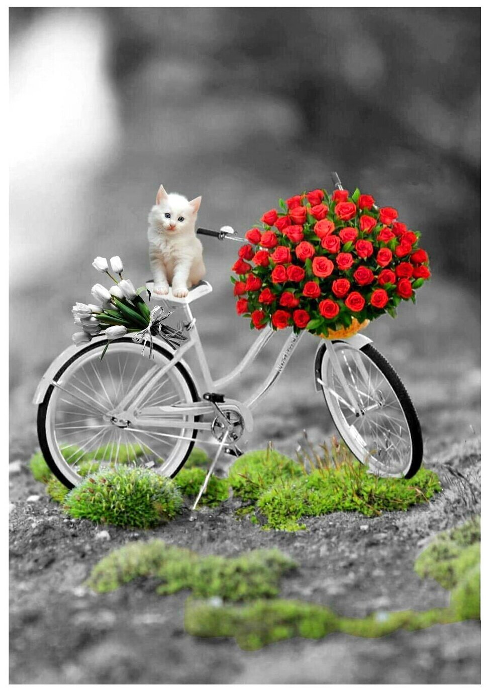 Я желаю тебе быть счастливым веселым. Яркого дня и хорошего настроения. Велосипед с цветами. Хорошего дня и настроения. Открытки с позитивом хорошего настроения.