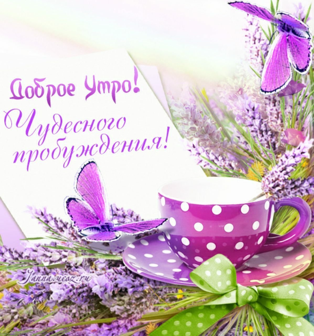 Хорошего дня весны картинки с пожеланиями доброго. Пожелания с добрым весенним утром. Доброе Весеннее утро. Доброе утро пожелания красивые.