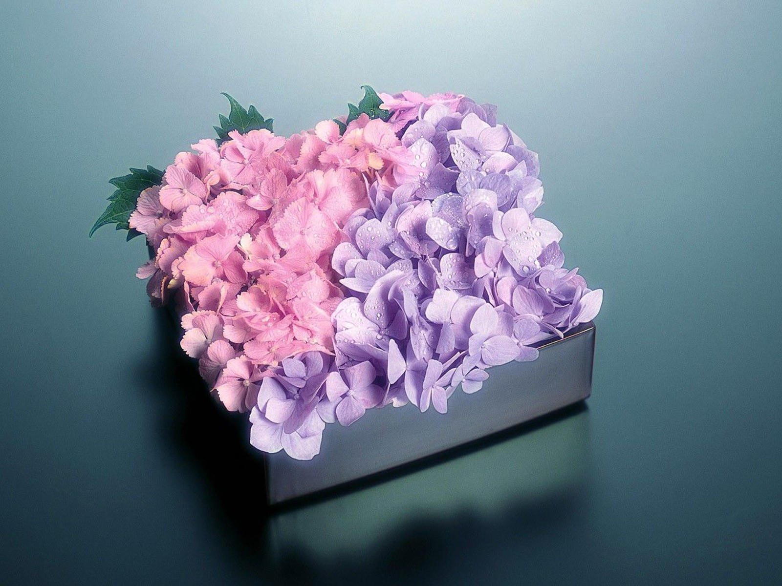 Красивые стильные цветы. Цветы в коробке. Самое креативное поздравление с 8