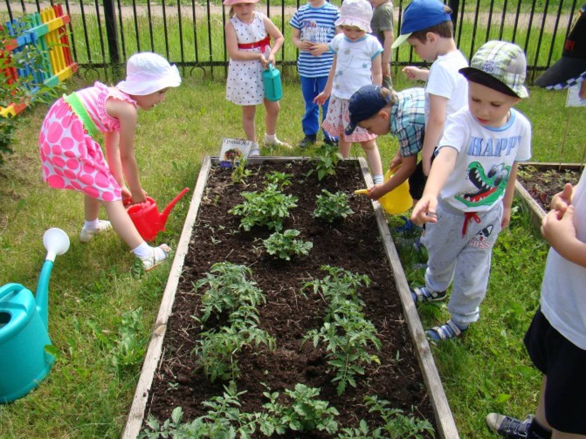 Дети посадили огород. Огород в детском саду. Огород в детском саду на участке. Детский огород в детском саду. Огород в ДОУ на участке.