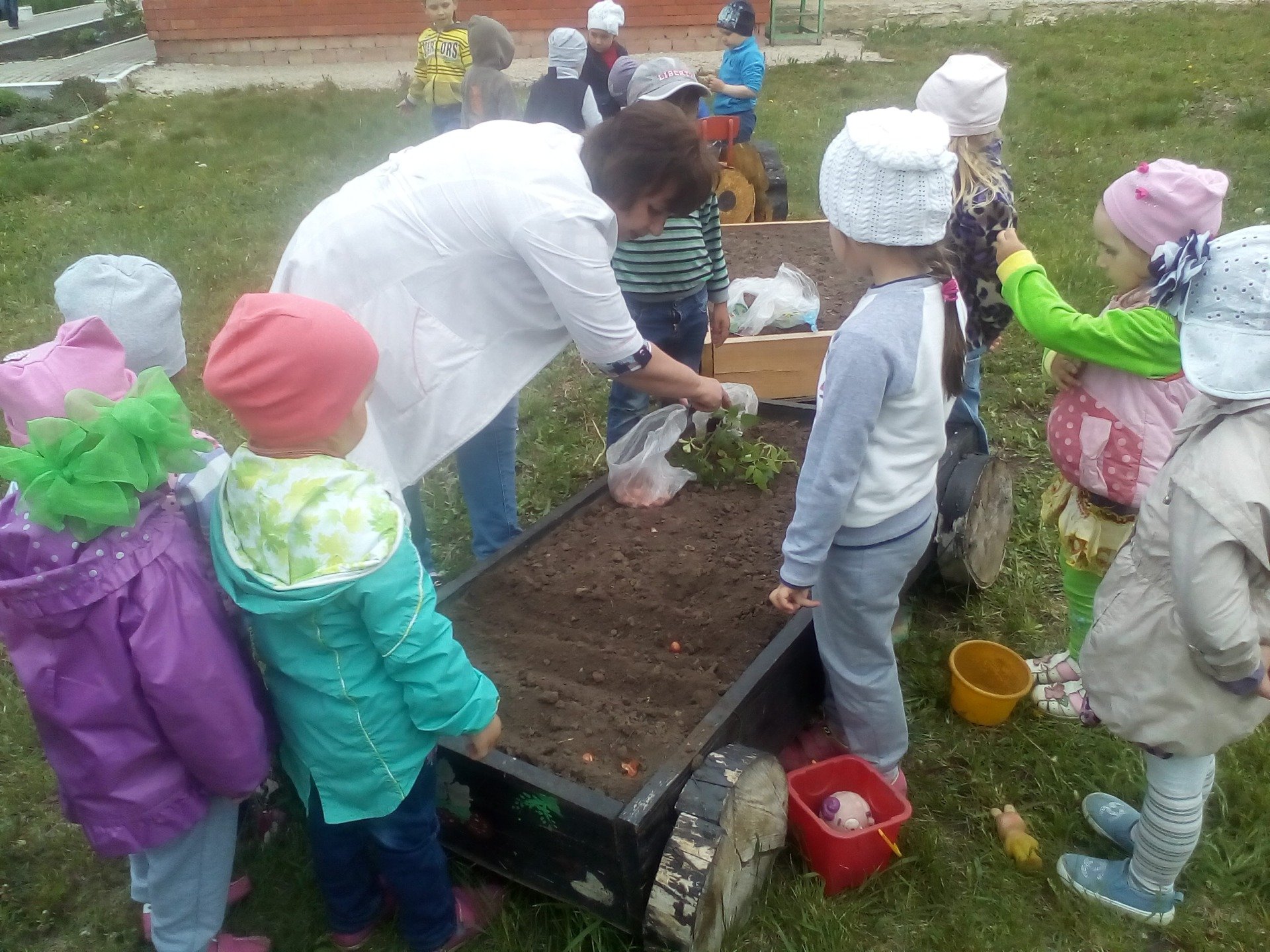 Дети посадили огород. Грядки с детьми в детском саду. Огород для детей. Экскурсия на огород дети. Огород для детей в детском саду.