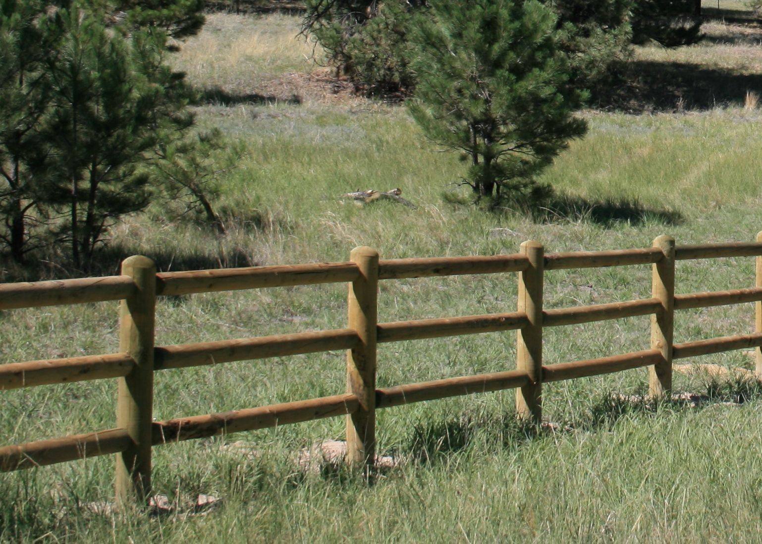Вычитание низкий забор включенный. Забор ранчо Дакота. Жердевая изгородь. Жердяная изгородь. Якутская изгородь.