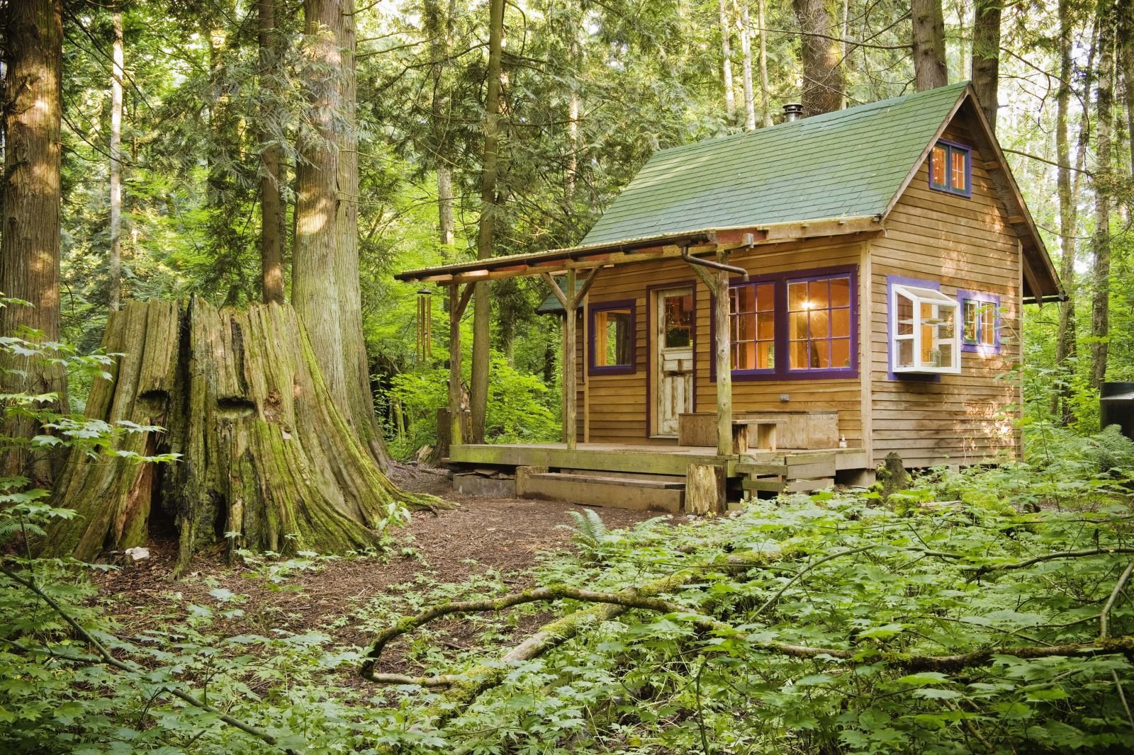 Маленький деревянный домик. Деревянный домик в лесу. Дом в лесу. Дачный домик в лесу.