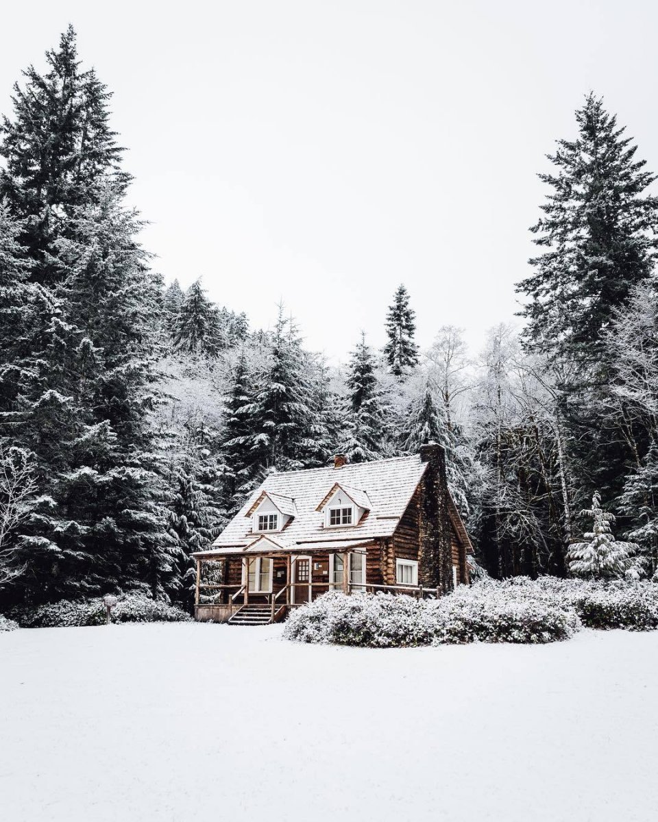 Винтер Хэвен Кэбин. Заснеженный домик. Домик в зимнем лесу. Домик в лесу. Деревянный дом снег
