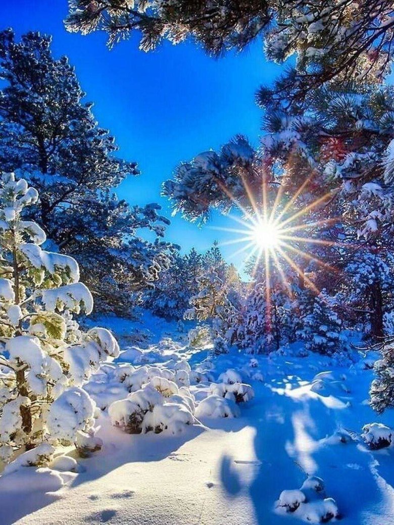 Красивая зима. Природа зима. Солнечный зимний день. День зимнего солнцестояния. Открытка красивый зимний день