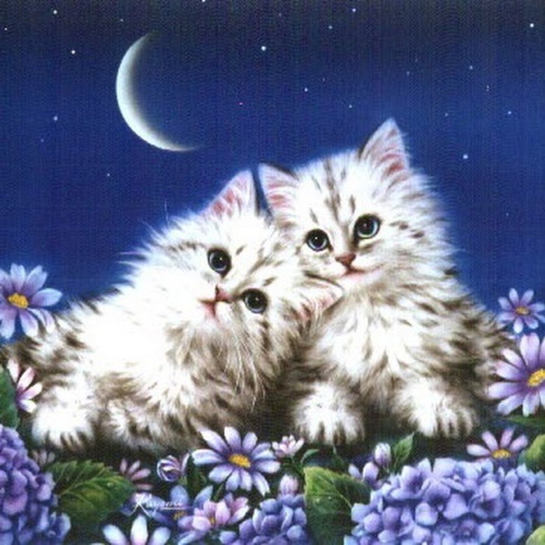 Красивые открытки с кошками. Открытки с котятами. Открытки спокойной ночи с животными. Доброй ночи с котятами. Красивых снов.